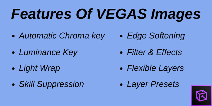 Features of Vegas Images