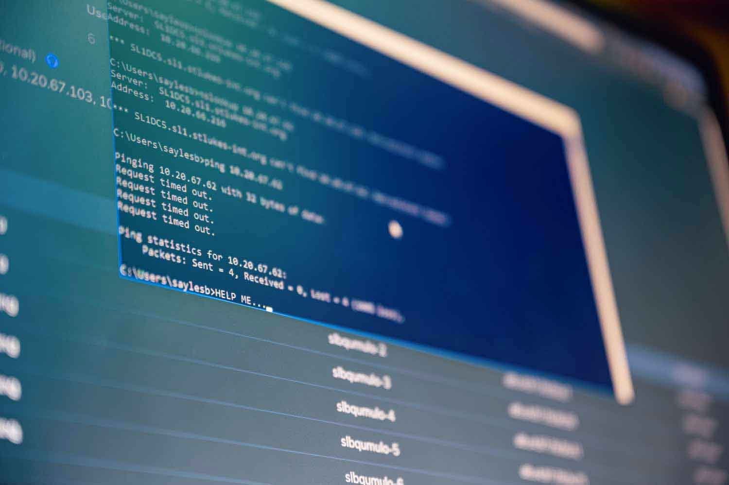 Database Management Software